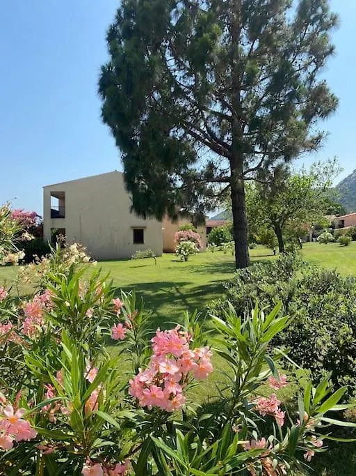 Villa Casa Nautilus Cannigione Casa vacanze